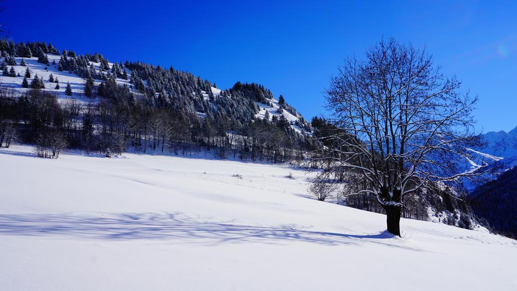 Residence Goelia Les Chalets Des Ecourts Saint-Jean-d'Arves Εξωτερικό φωτογραφία